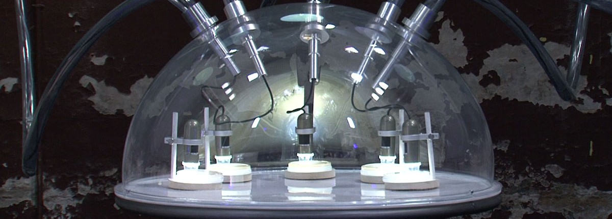 MICROSCOPIC OPERA / Matthijs Munnik